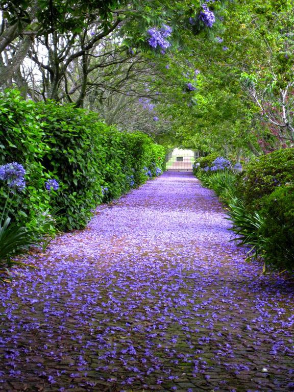 Malvern Manor Country Guest House George Buitenkant foto