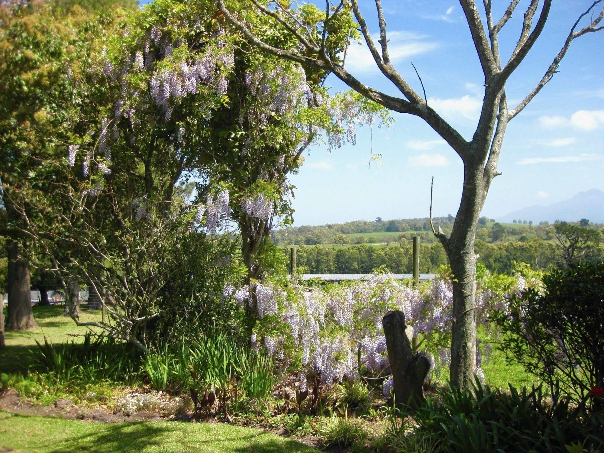 Malvern Manor Country Guest House George Buitenkant foto